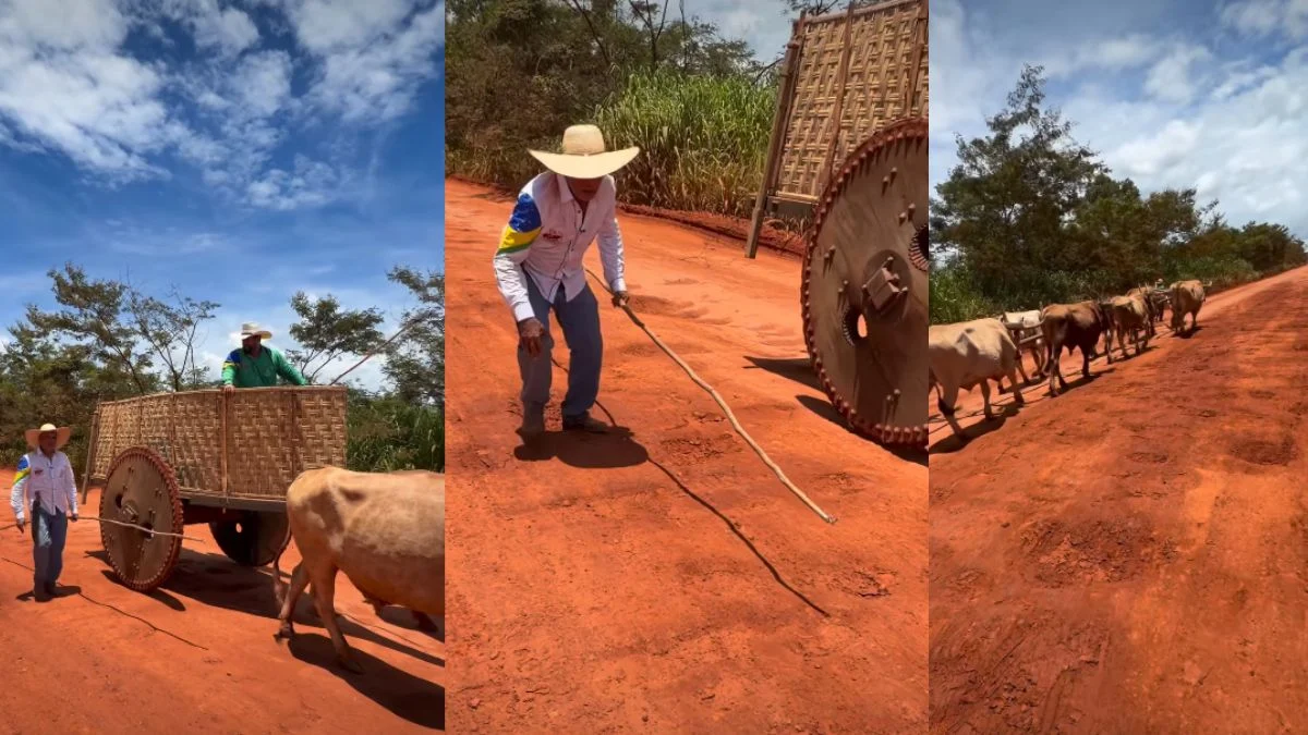 Protesto BR-158 Pontal do Araguaia Ribeirãozinho Foto Reprodução Instagram Danilo Coelho