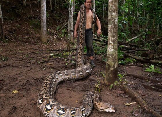 Ícone de sino para notificações
