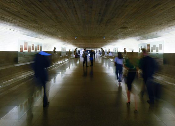 O Túnel que liga o Edifício Principal ao Anexo II do Senado é conhecido como Túnel do Tempo. Em suas paredes há uma exposição permanente intitulada "O Senado Brasileiro – do Império à República". A mostra retrata parte da trajetória social, política e histórica do Senado, desde sua criação, com a Constituição outorgada por D. Pedro I em 1824, até a legislatura atual. Os painéis estão dispostos em ordem cronológica: na parede à esquerda estão informações do período Imperial e da Primeira República; na parede à direita, o período do Estado Novo até os dias atuais.